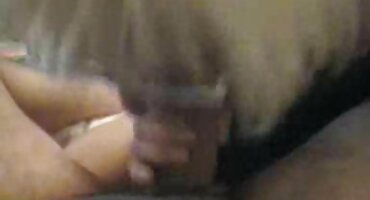 Kleknuo sam besplatni pirnići i sisao stojeći kurac ustima