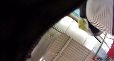 Mlada pornicibespl kuja zavela je prijatelja i jebeno teško