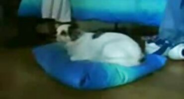 Teen drolja besplatniseksi filmovi dragovoljno daje starca